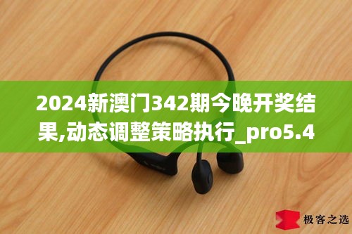 2024新澳门342期今晚开奖结果,动态调整策略执行_pro5.417