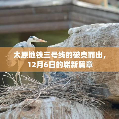 废寝忘食 第4页