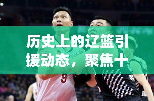 辽篮引援动态更新，聚焦十二月六日的最新进展回顾