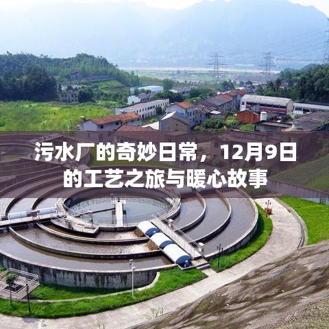 污水厂的工艺之旅，日常点滴与暖心故事（12月9日）
