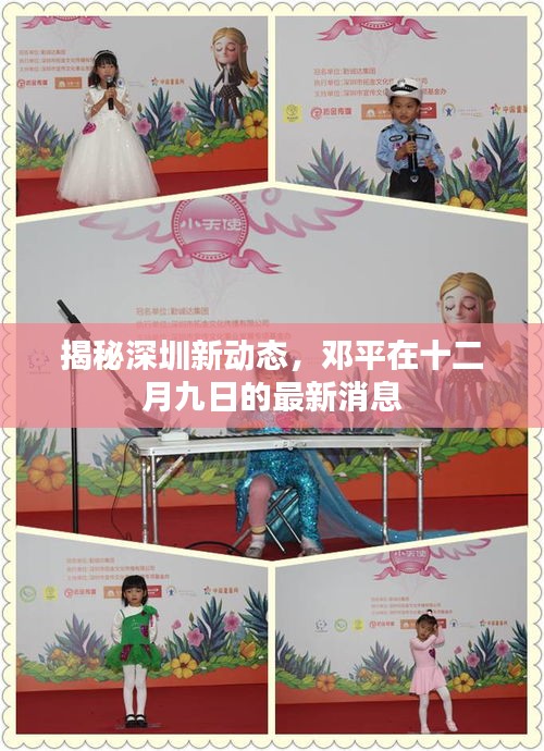 邓平最新深圳动态揭秘，十二月九日新消息一览