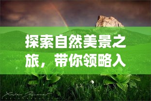 探索自然美景之旅，带你领略入门单反如何带你远离尘嚣，发现内心的平静与力量