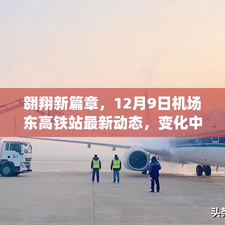 荆钗布裙 第3页