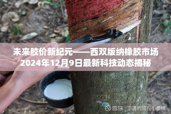 西双版纳橡胶市场最新科技动态揭秘，未来胶价新纪元展望（2024年12月9日）