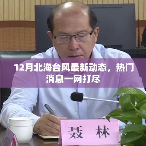 北海台风最新动态，十二月热门消息全解析