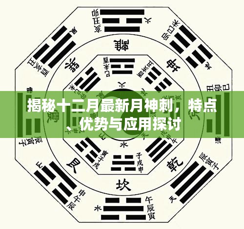 揭秘十二月最新月神刺，特点、优势及应用探讨