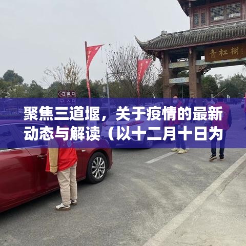 聚焦三道堰，十二月十日疫情最新动态与解读