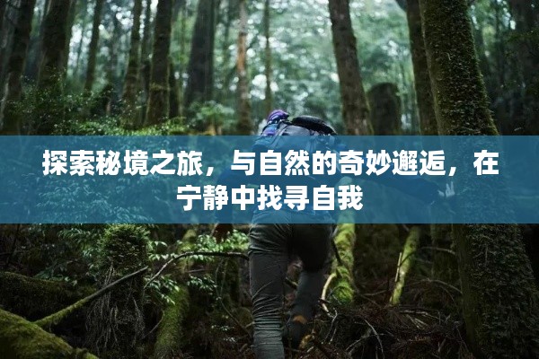 物稀为贵 第3页