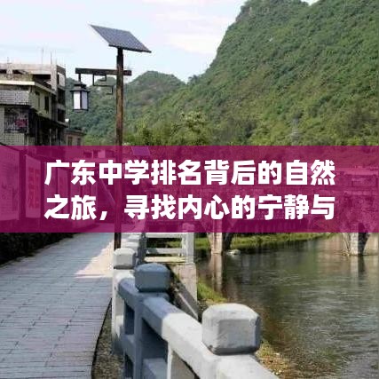 林下风范 第5页