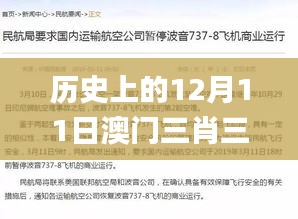 历史上的12月11日澳门三肖三码精准100%黄大仙,深入数据设计策略_挑战版9.570