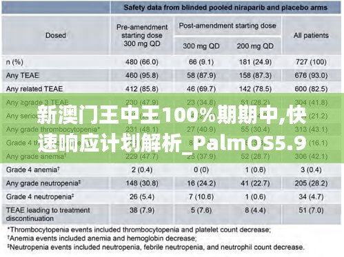 新澳门王中王100%期期中,快速响应计划解析_PalmOS5.906