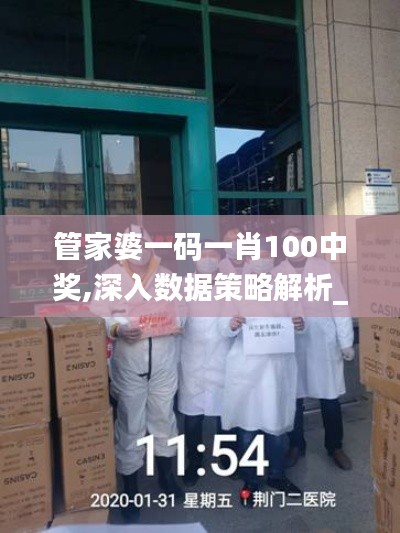 管家婆一码一肖100中奖,深入数据策略解析_SHD9.623