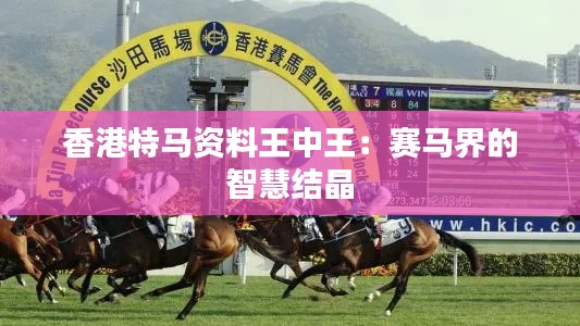 香港特马资料王中王：赛马界的智慧结晶
