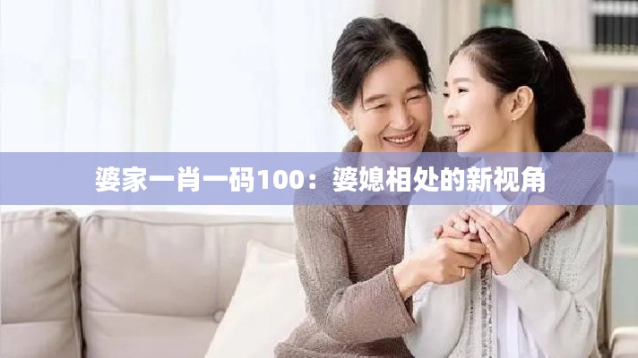 婆家一肖一码100：婆媳相处的新视角