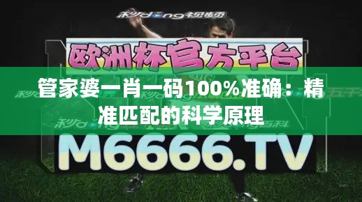 管家婆一肖一码100%准确：精准匹配的科学原理