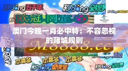 澳门今晚一肖必中特：不容忽视的赌城规则
