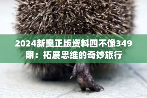 2024新奥正版资料四不像349期：拓展思维的奇妙旅行