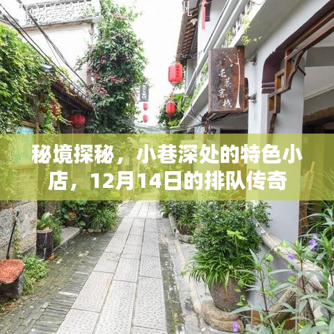 秘境探秘，小巷深处的传奇小店，排队传奇揭秘！