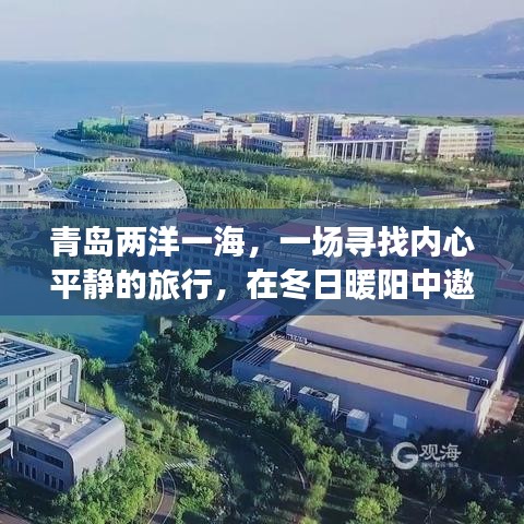 鸢飞鱼跃 第3页