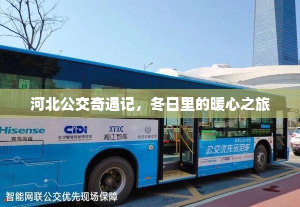 橘虞初梦 第3页