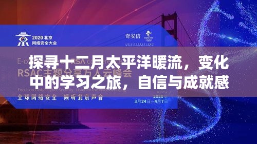 风华绝代 第4页