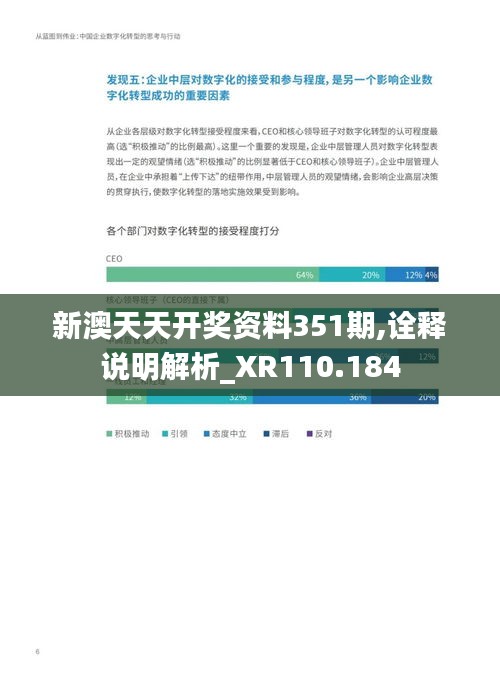 新澳天天开奖资料351期,诠释说明解析_XR110.184