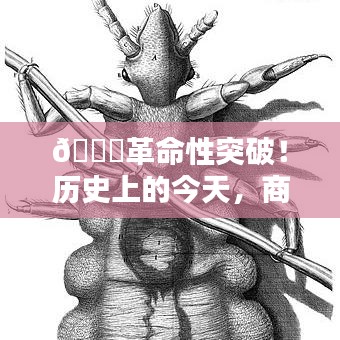 手不释卷 第3页