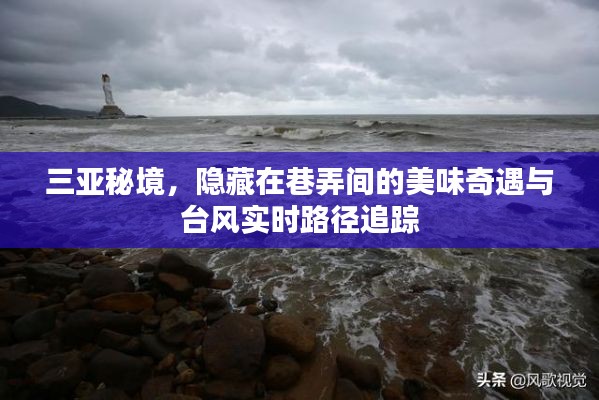 三足鼎立 第3页