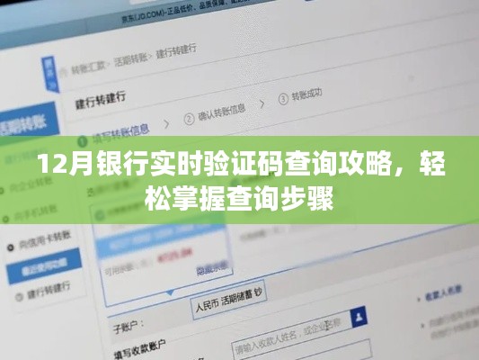 12月银行实时验证码查询攻略，查询步骤轻松掌握