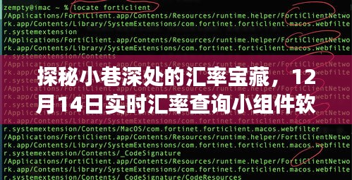 探秘小巷深处的汇率宝藏，实时汇率查询软件奇妙之旅