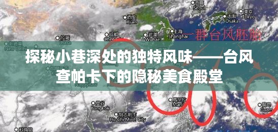 台风查帕卡下的隐秘美食殿堂，小巷深处的独特风味探秘