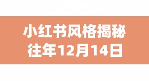 小红书风格指南，广州公交实时查询攻略，出行无忧，历年12月14日回顾