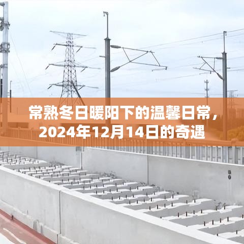常熟冬日暖阳下的温馨日常与奇遇日，2024年12月14日的阳光记忆