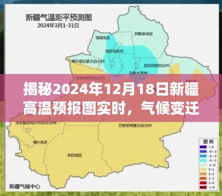 鸟为食亡 第4页