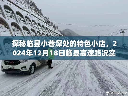 鸿飞雪爪 第4页