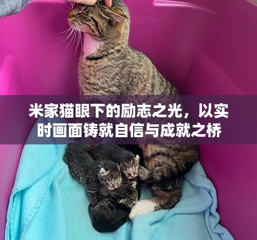 心慌意乱 第3页
