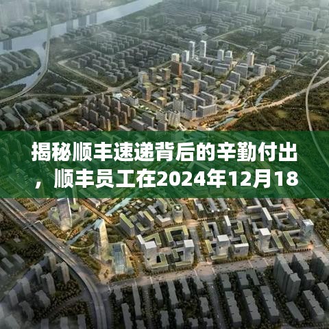 顺丰速递幕后英雄的真实工作时长，辛勤付出背后的故事（2024年12月18日）