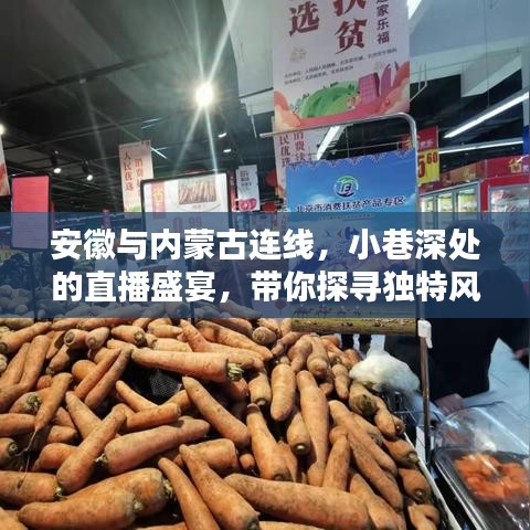 安徽与内蒙古连线，探寻小巷深处的直播盛宴，品味独特风味小店