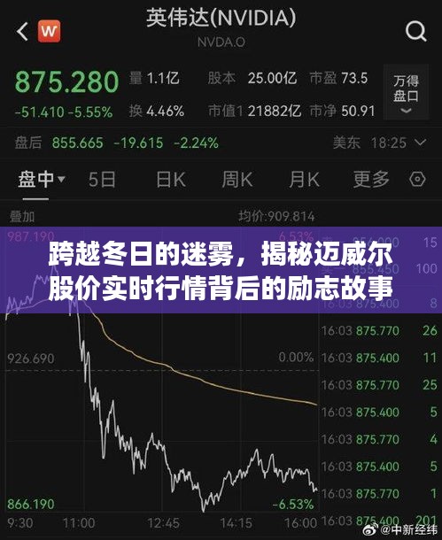 跨越冬日的迷雾，迈威尔股价实时行情背后的励志故事揭秘