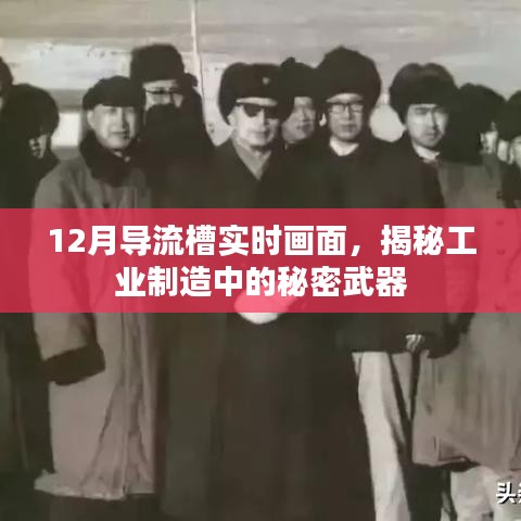 色厉内荏 第3页