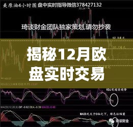 揭秘12月欧盘实时交易规则详解，要点深度解析