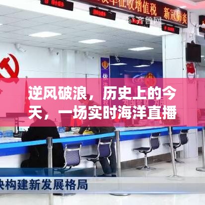 逆风破浪，实时海洋直播的启示与成长之旅今日回顾