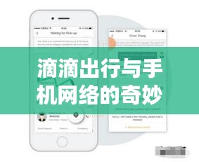 展翅欲飞 第3页