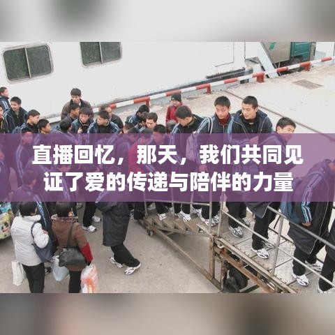 直播回忆，爱的传递与陪伴的力量日