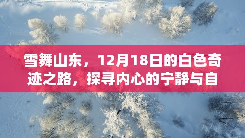 雪舞山东，探寻内心宁静与自然魅力的白色奇迹之路（12月18日）