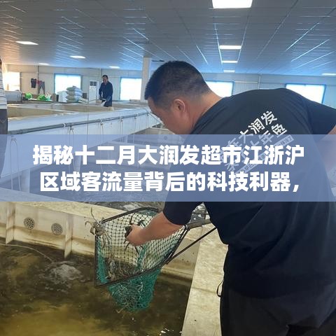 走马章台 第3页