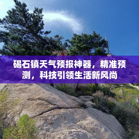 物以希为贵 第4页