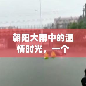 朝阳雨中的温情时光，友情与陪伴的温馨篇章