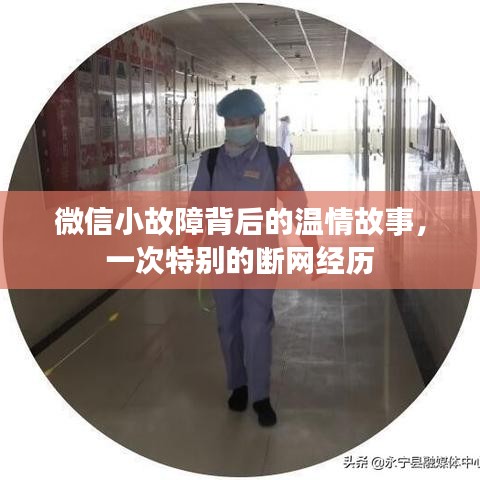 怀真抱素 第3页