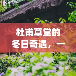 张睢阳齿 第3页